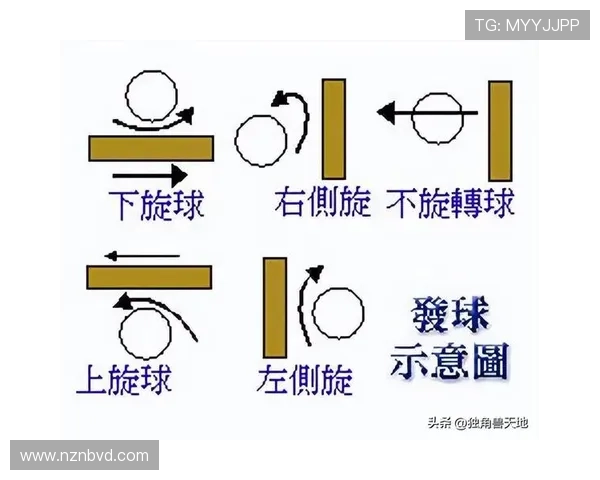 乒乓球比赛规则详解与技巧分享 让你快速掌握比赛中的关键要点